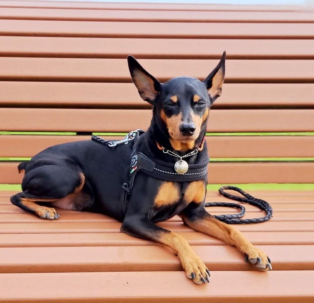 Max